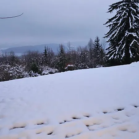Le Cosy - Joliment Amenage - Vue Magnifique Appartement Sévrier Buitenkant foto